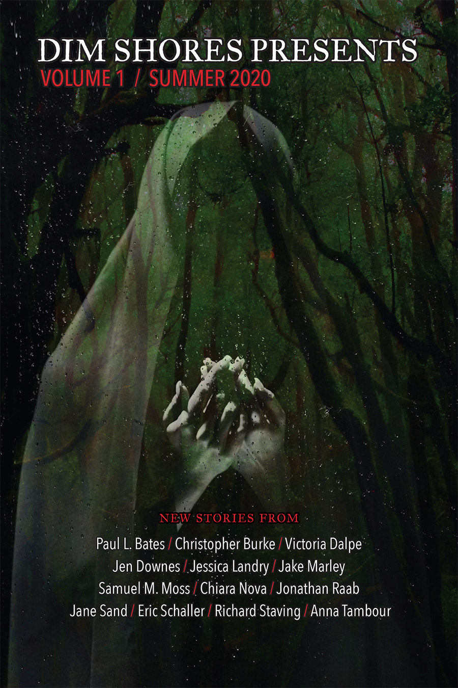Dim Shores Presents book cover 1