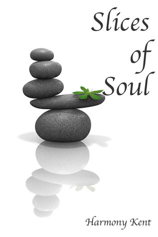 Slices of Soul book cover