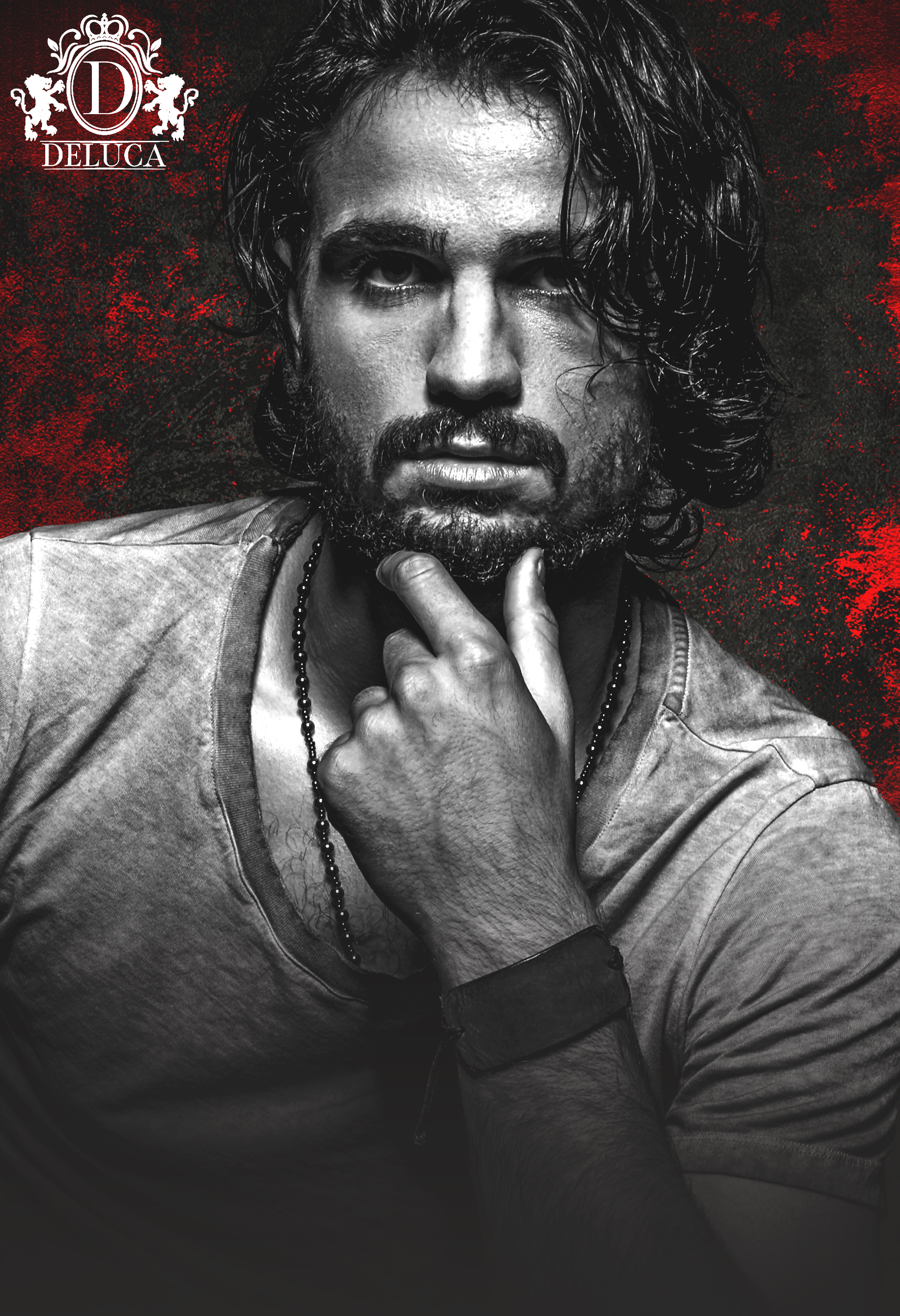 Brizio DeLuca book cover