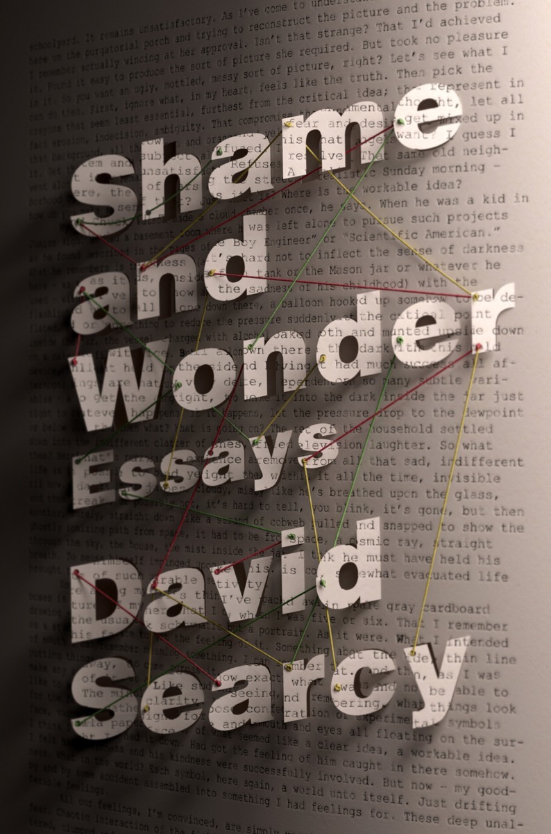 Shame and Wonder book cover