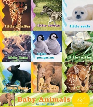 Baby Animals in the Wild book cover