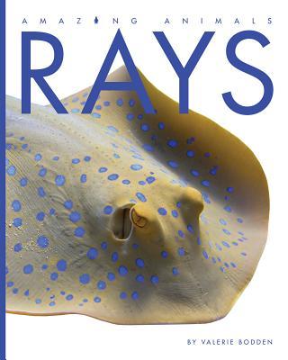Rays book cover