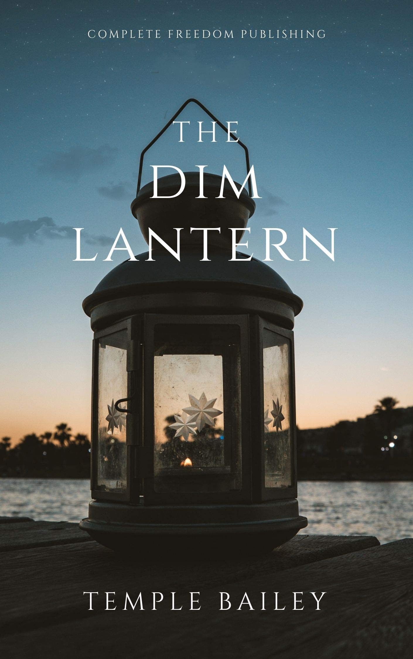 The Dim Lantern book cover