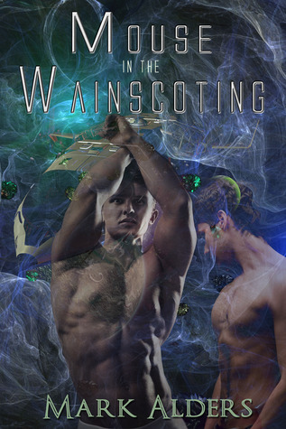 Schism Universe book cover 1