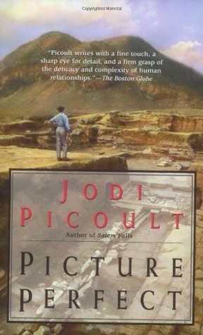 Picture Perfect book cover