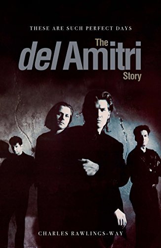 These Are Such Perfect Days book cover