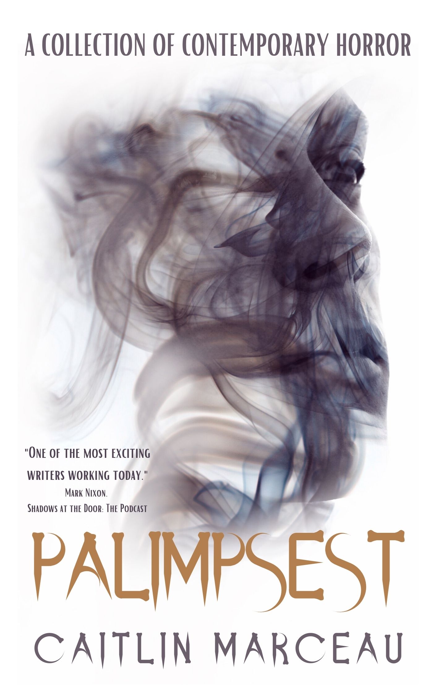 Palimpsest book cover