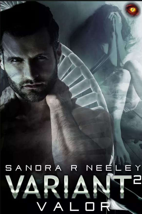 Variant book cover 2