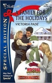 A Family for the Holidays book cover