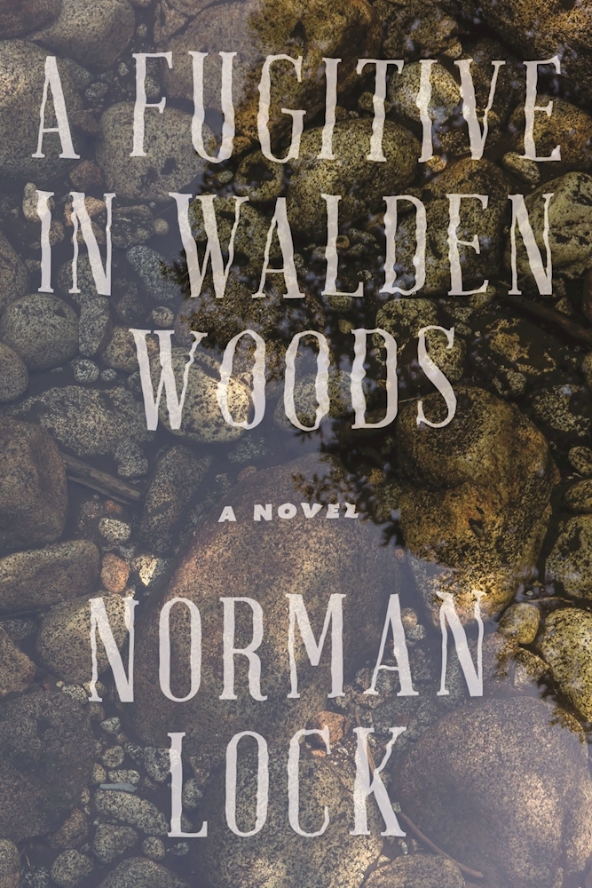 A Fugitive in Walden Woods book cover