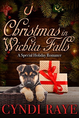 Christmas In Wichita Falls book cover