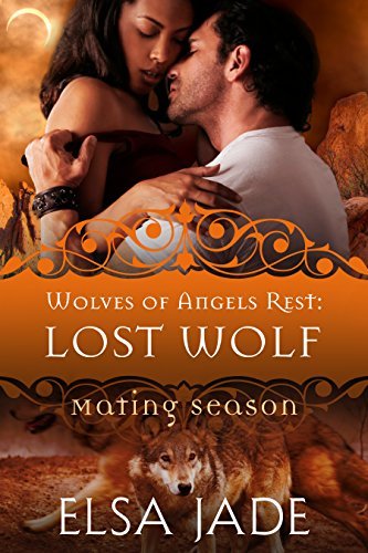 Lost Wolf book cover