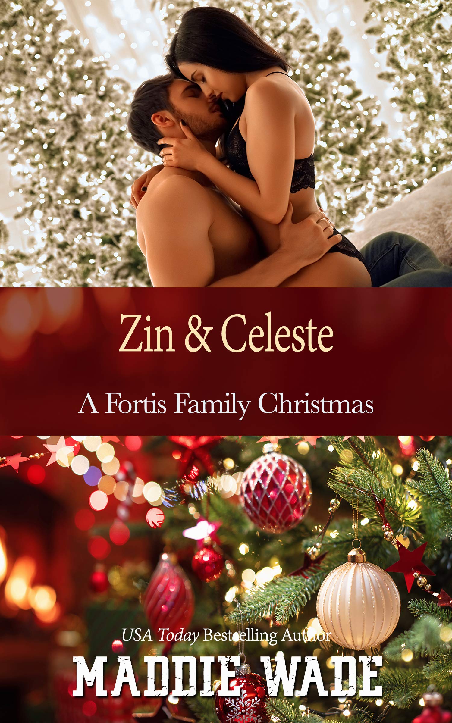 Zin and Celeste book cover