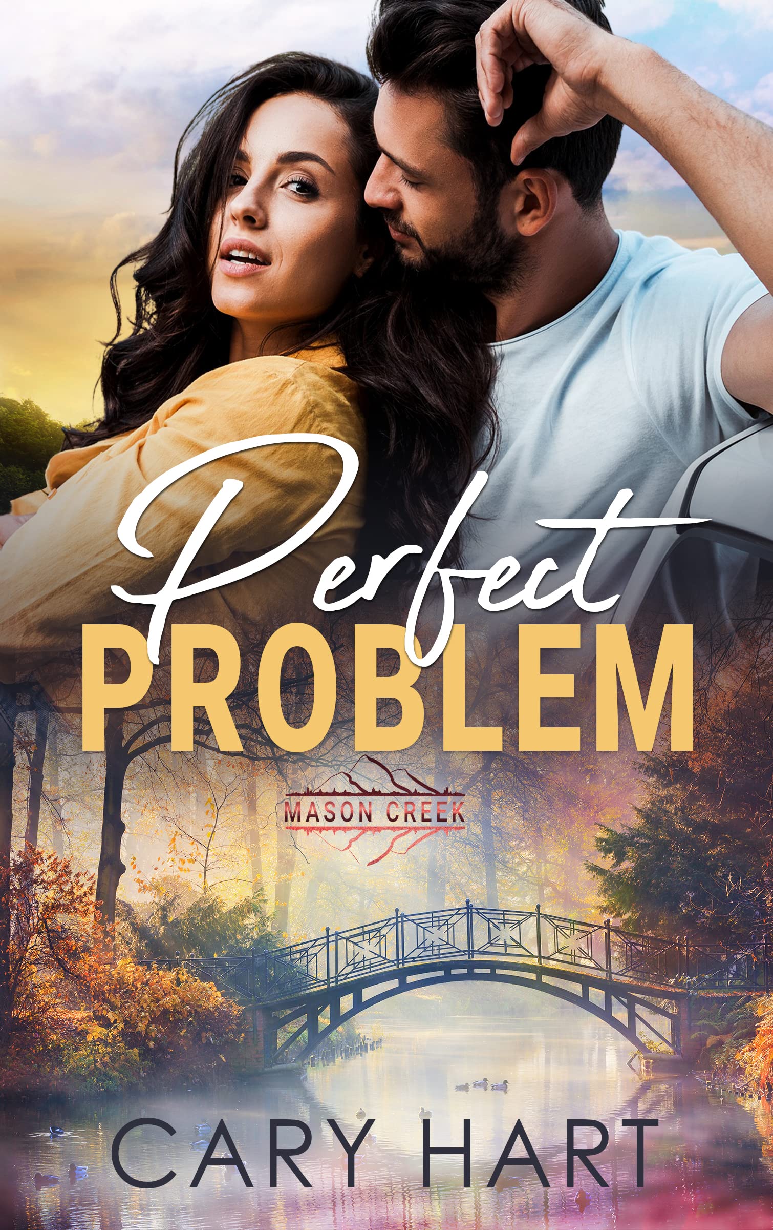 Perfect Problem book cover
