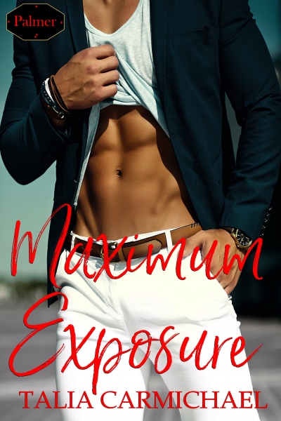 Palmer book cover 1