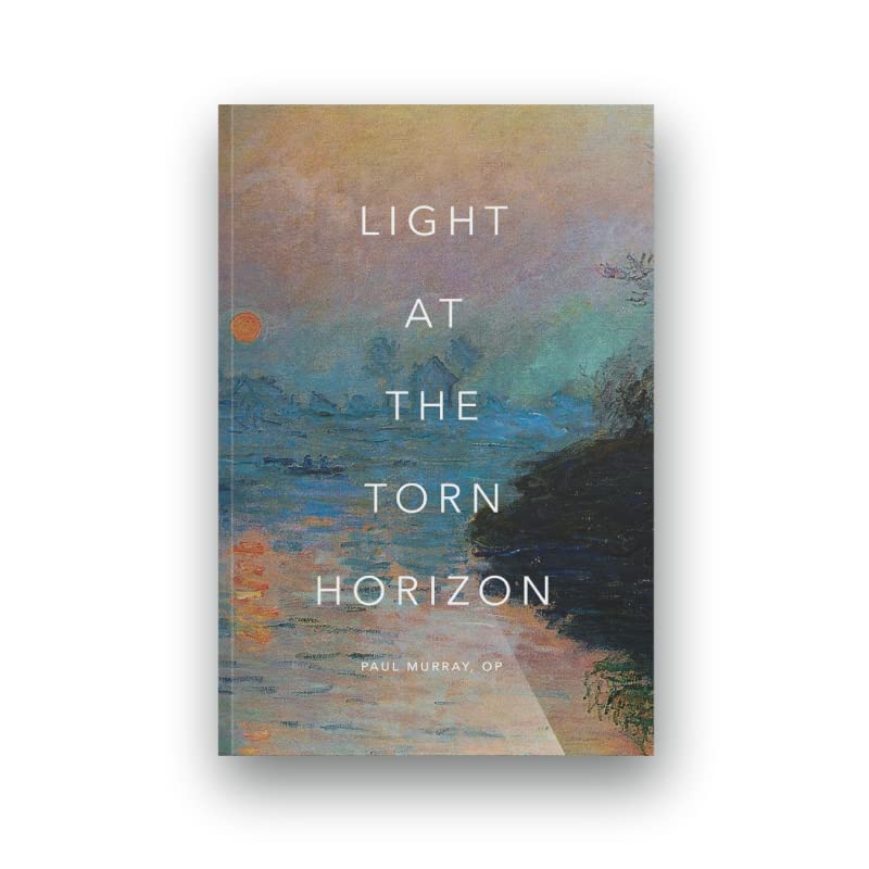 Light at the Torn Horizon book cover