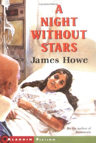 A Night Without Stars book cover