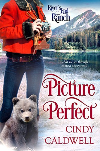 Picture Perfect book cover