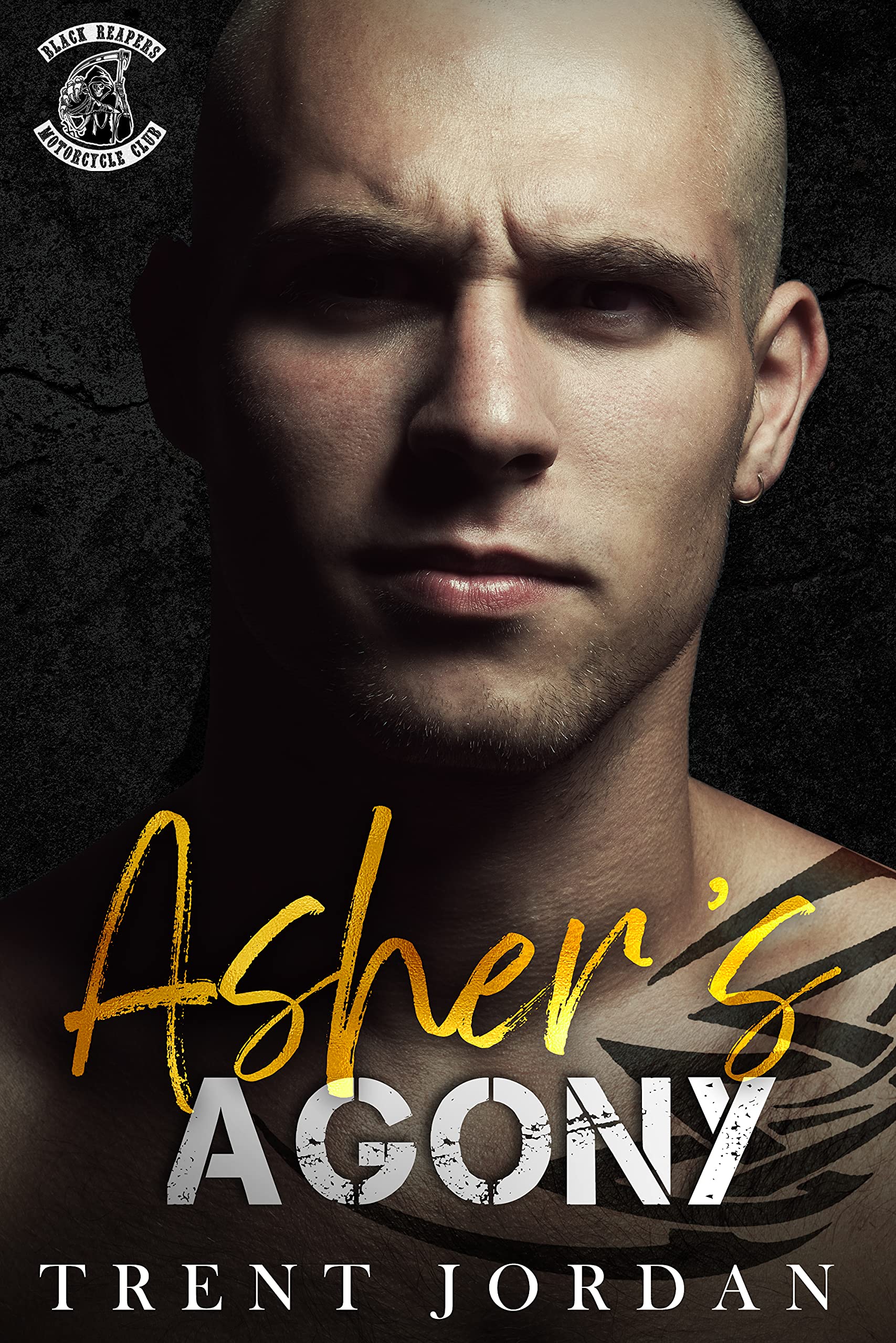 Asher's Agony book cover