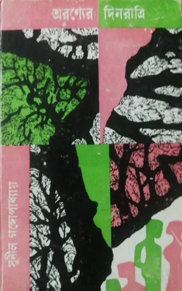 Days and Nights in the Forest book cover