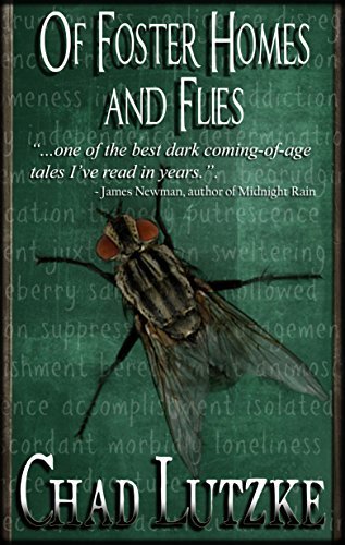 Of Foster Homes and Flies book cover