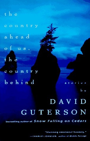 The Country Ahead of Us, the Country Behind book cover