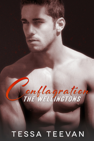 The Wellingtons book cover 2