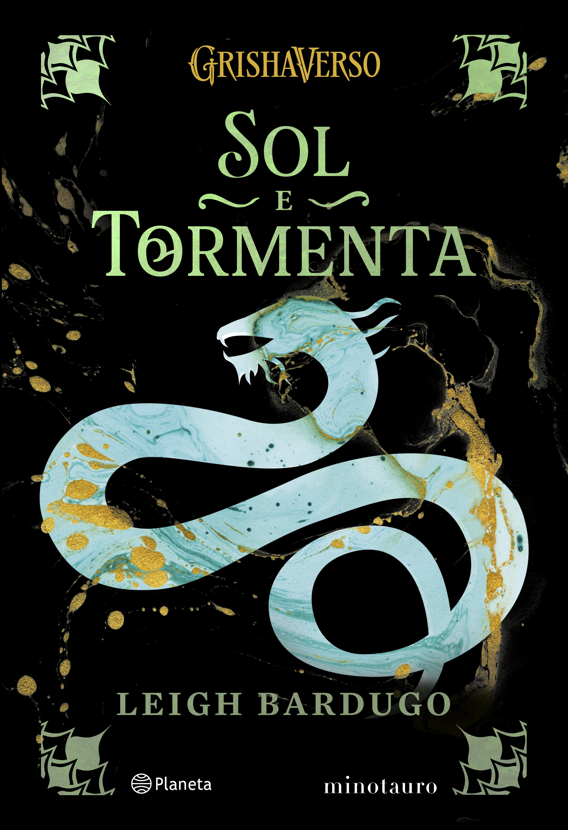 Siege and Storm book cover