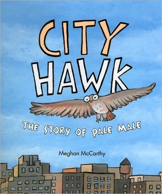 City Hawk book cover
