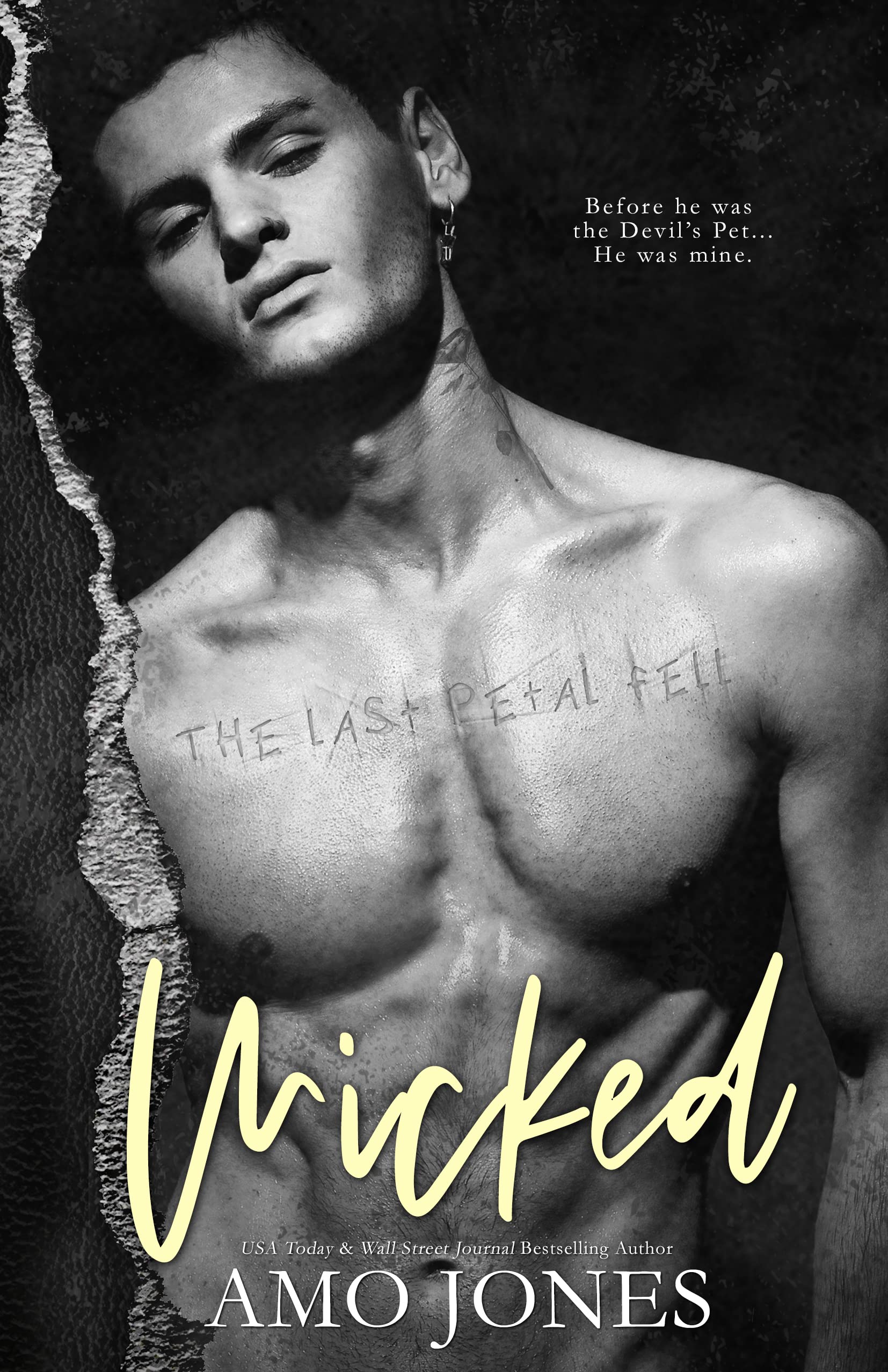 Wicked book cover
