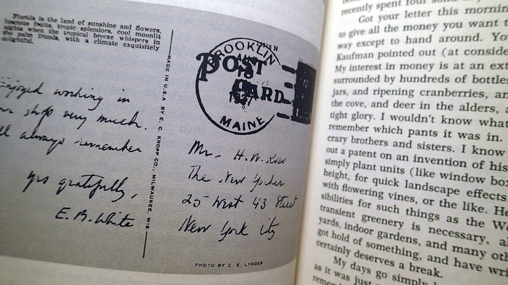 Letters and Essays of E.B. White book cover