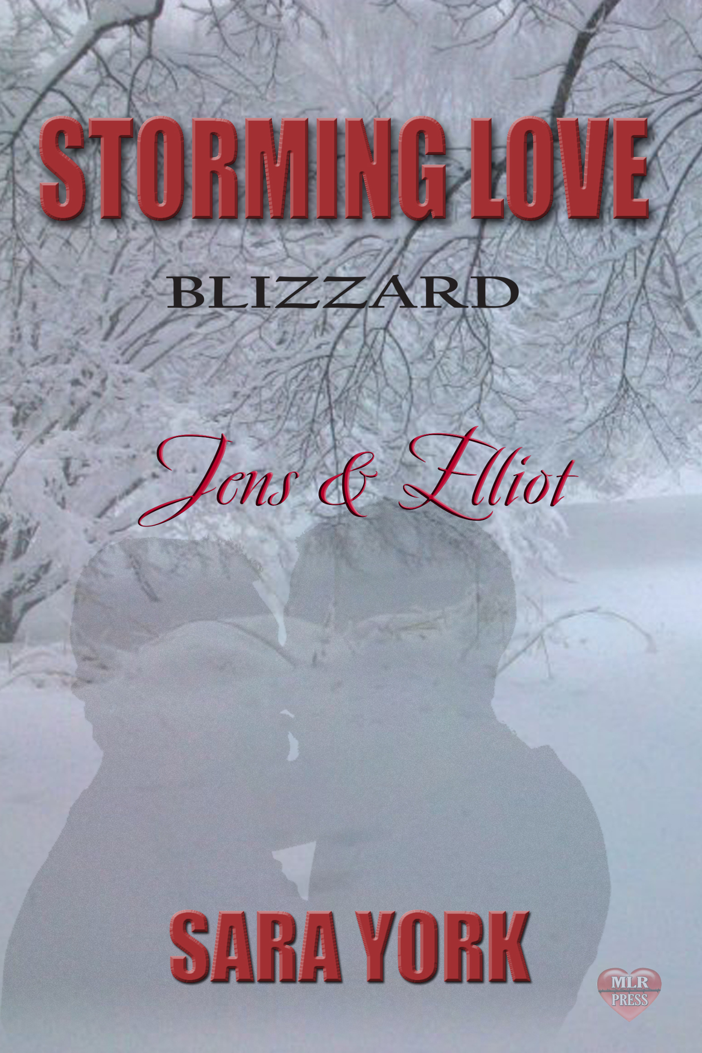 Storming Love: Blizzard book cover 1