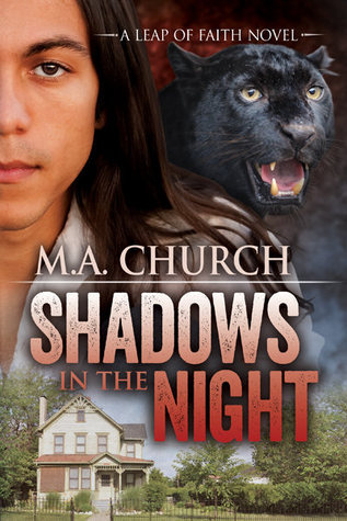 Leap of Faith book cover 1