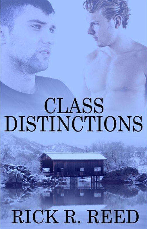 Class Distinctions book cover