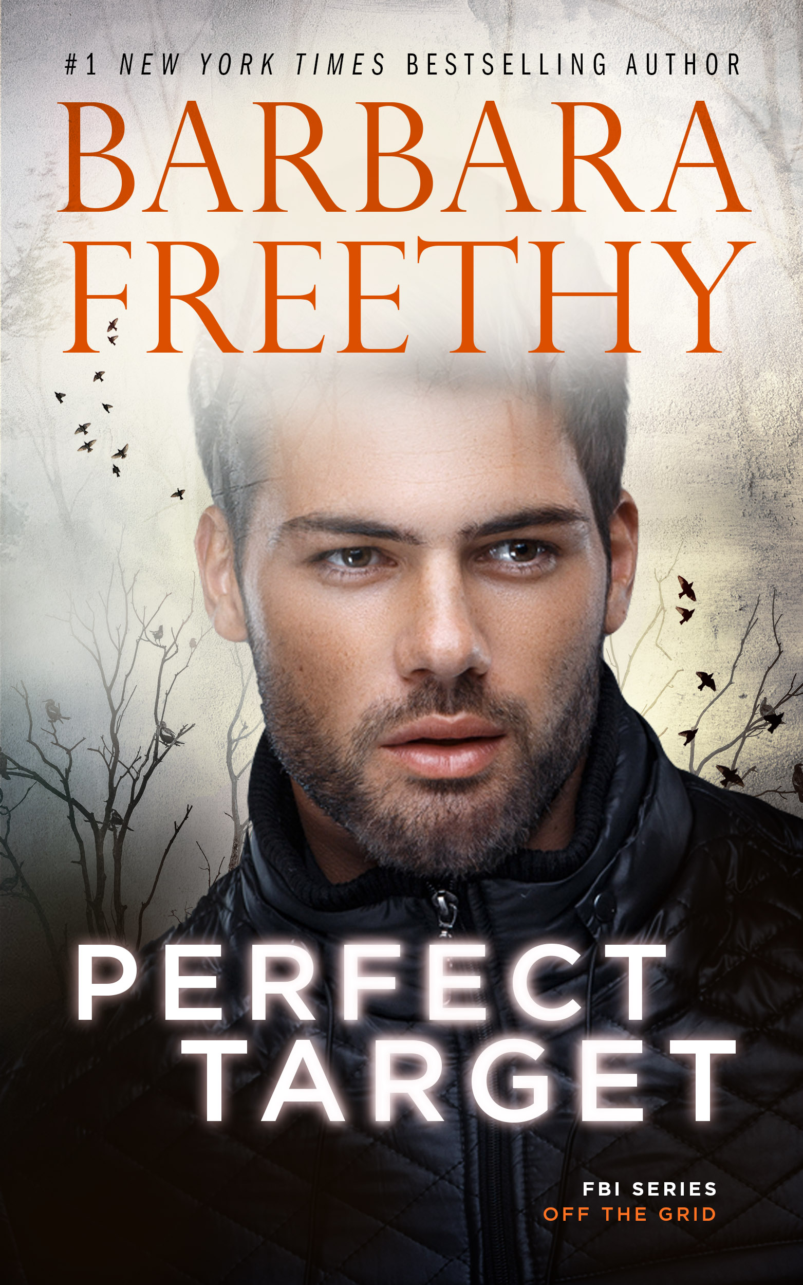 Perfect Target book cover