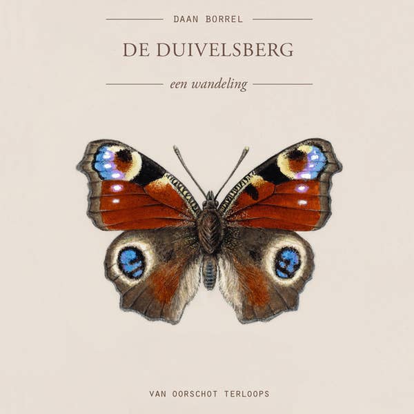 De Duivelsberg book cover