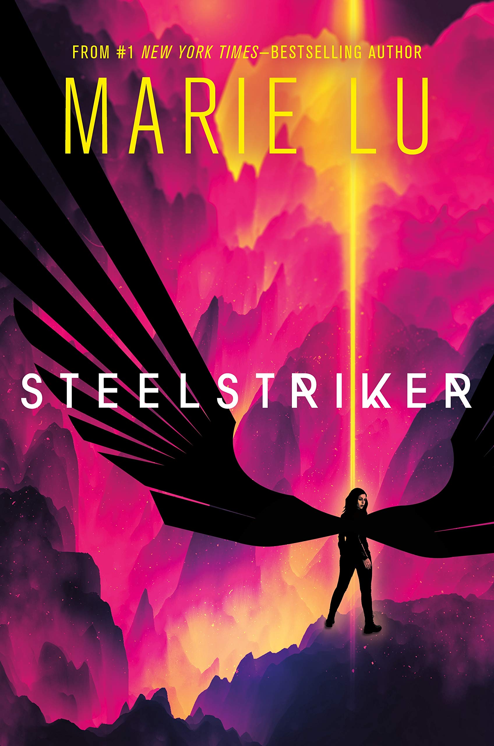 Skyhunter book cover 2