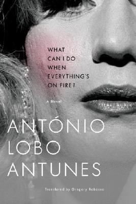 What Can I Do When Everything's on Fire? book cover
