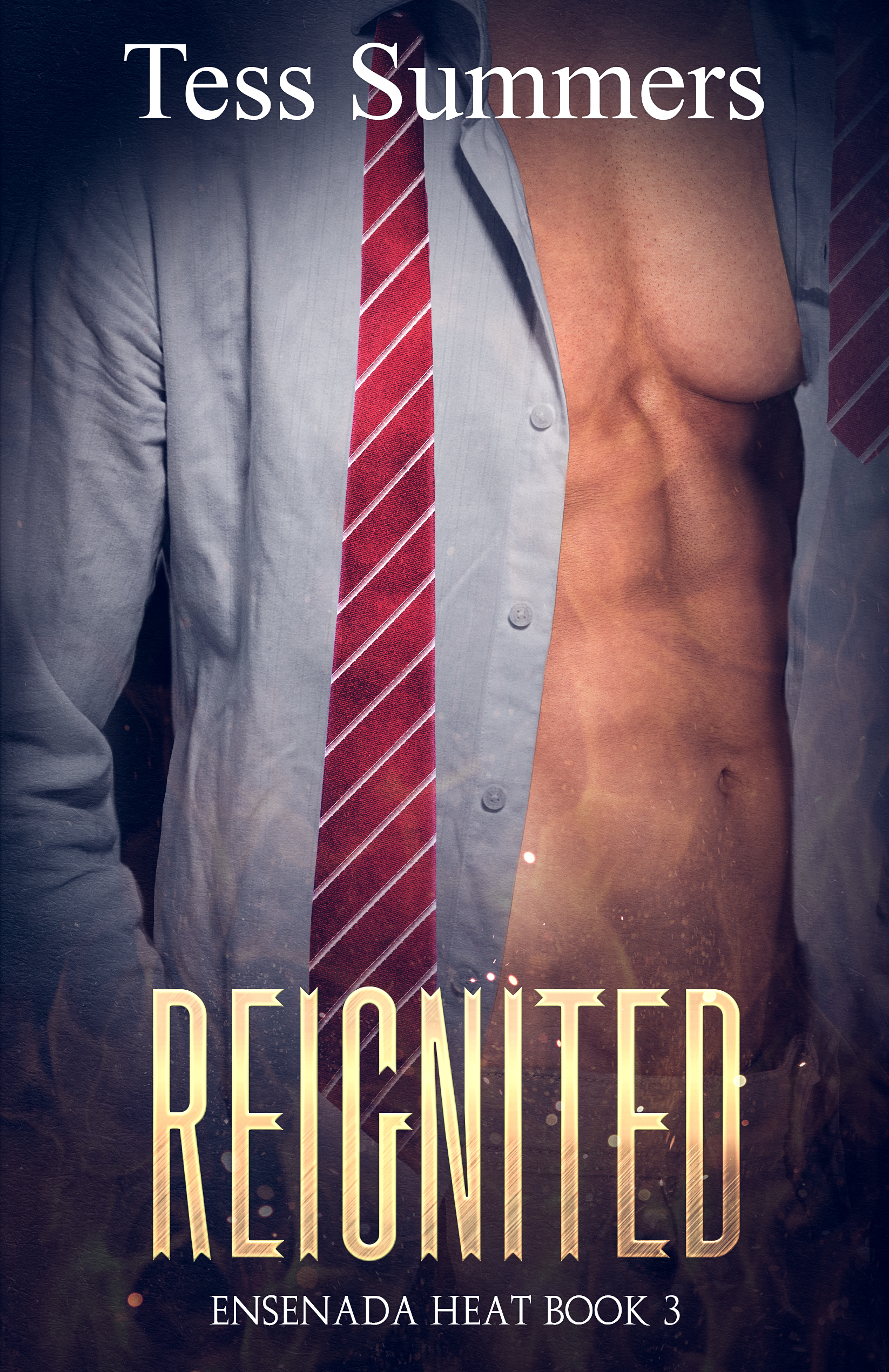 Agents of Ensenada book cover 3