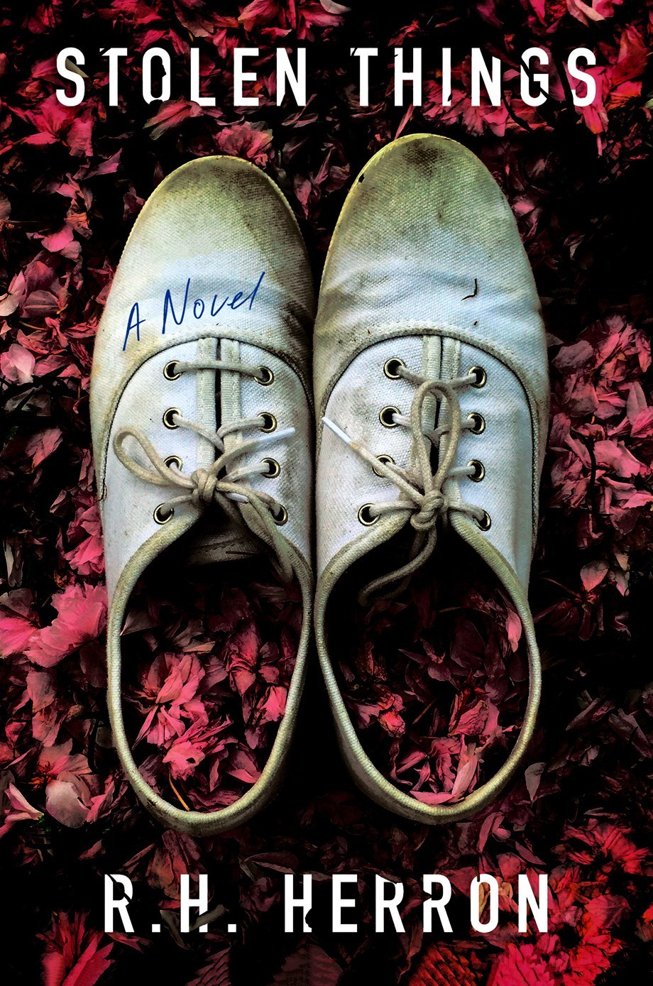Stolen Things book cover
