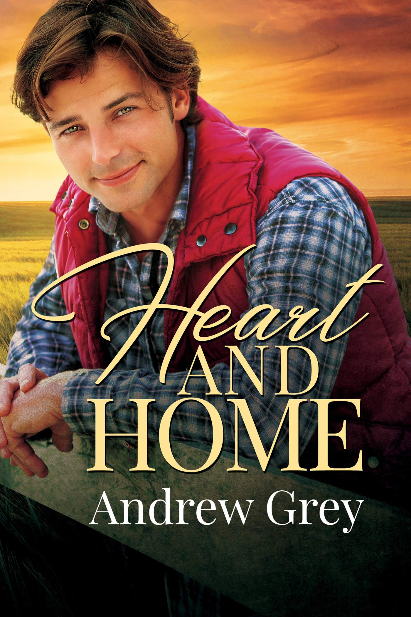 Heart Home Family book cover 2