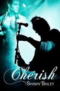 Cherish book cover