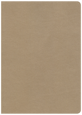 CSB She Reads Truth Bible, Champagne Gold LeatherTouch, Black Letter, Full-Color Design, Wide Margins, Journaling Space, Devotionals, Reading Plans, Single-Column, Easy-to-Read Bible Serif Type book cover