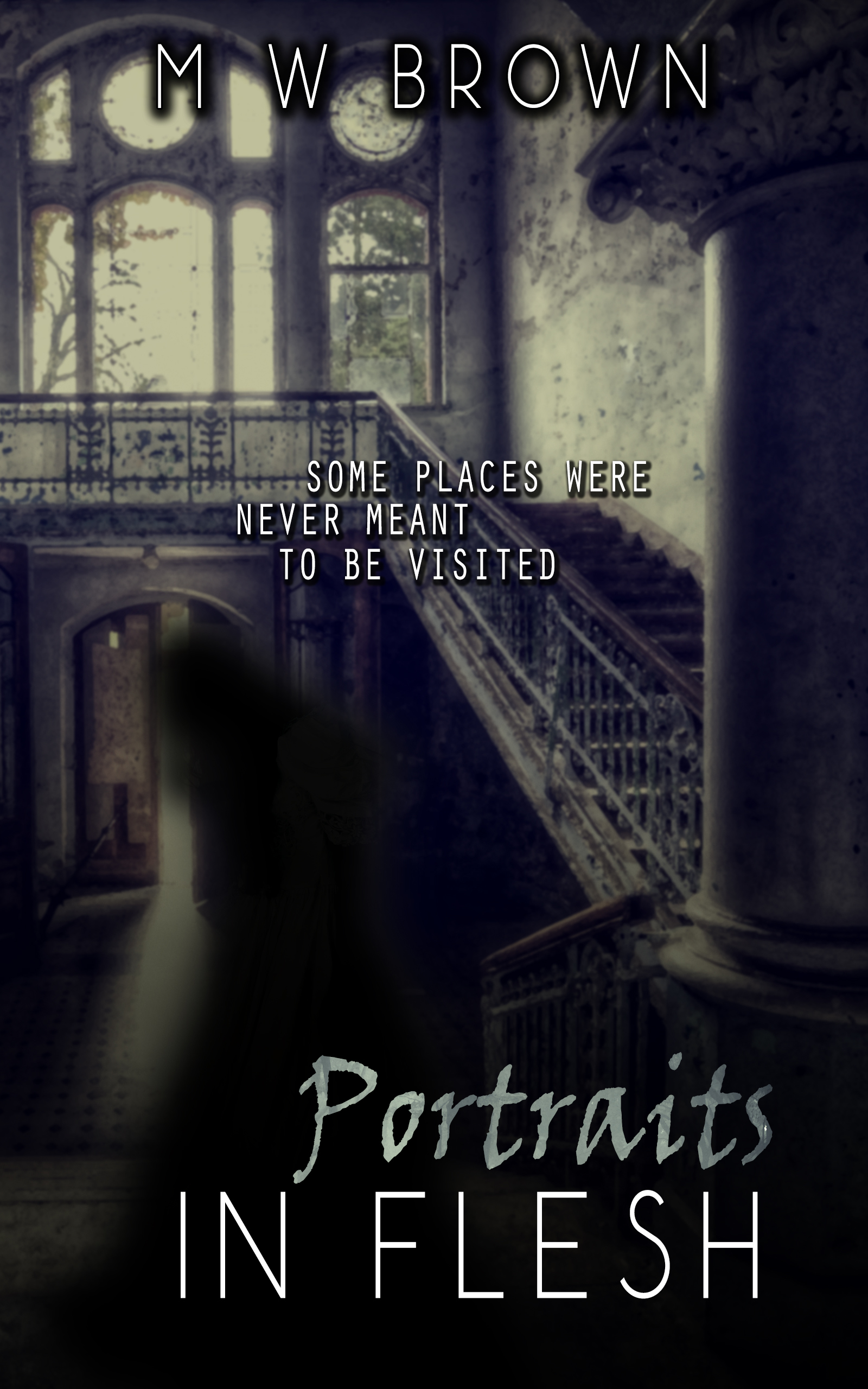 Portraits in Flesh book cover