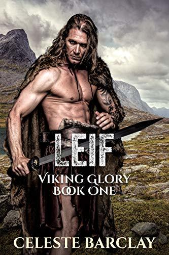Viking Glory book cover 1