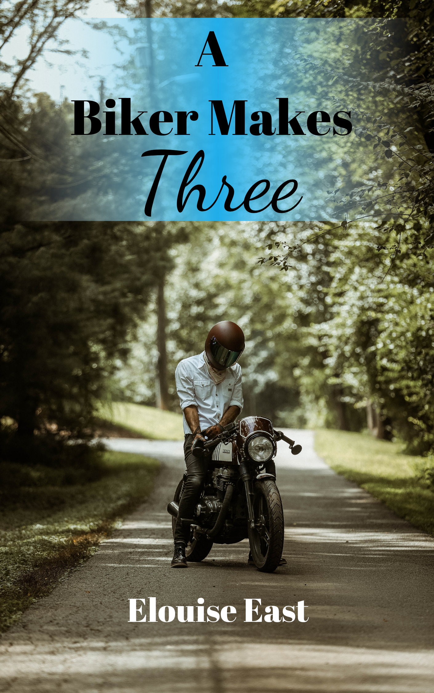 A Biker Makes Three book cover