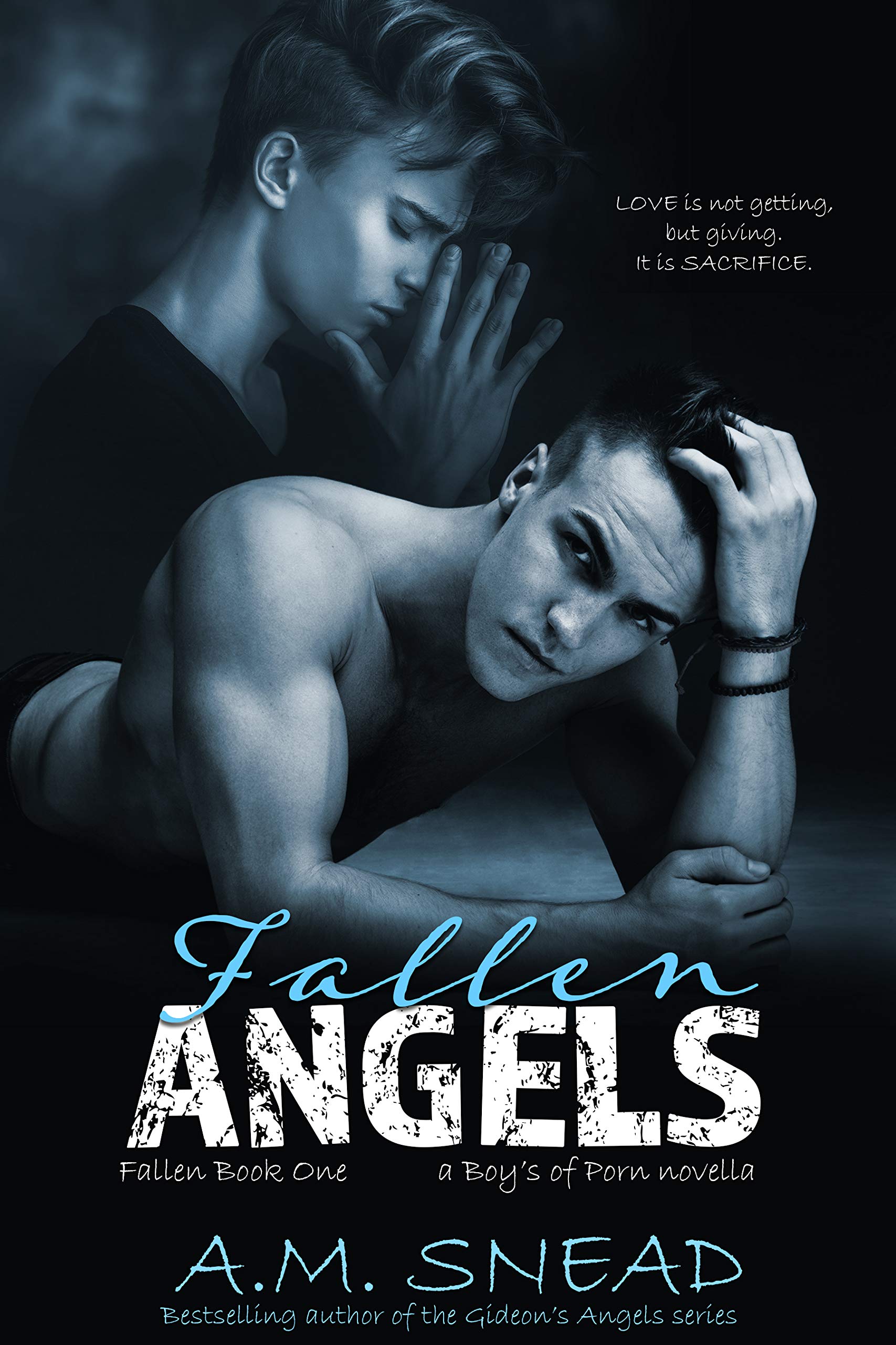 Fallen book cover 1