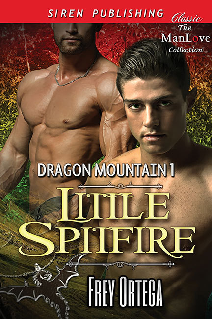 Dragon Mountain book cover 1