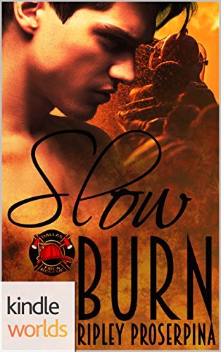 Slow Burn book cover