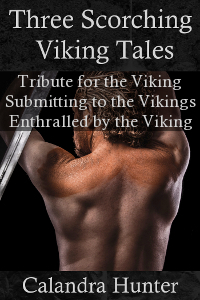 Enthralled by the Viking book cover